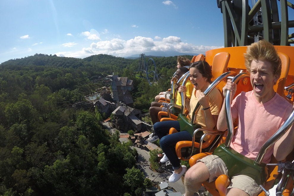 10 reasons Pigeon is really something to squawk about