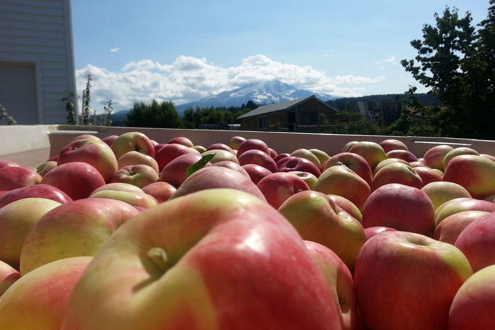 Best Apple Orchard Winners 2018 10Best Readers' Choice Travel Awards