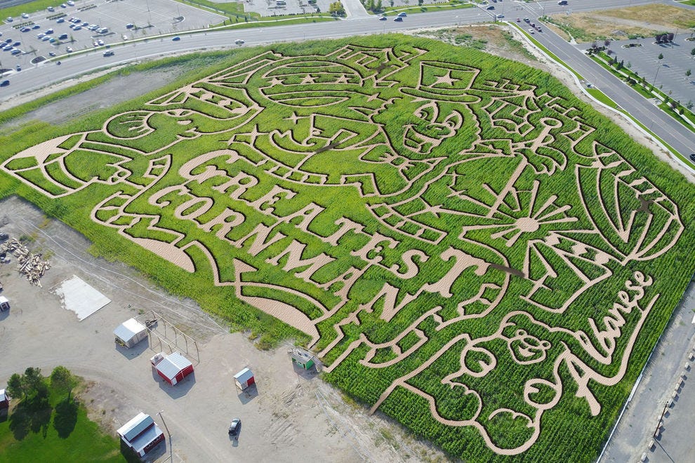 Best Corn Maze Winners 2018 Usa Today 10best