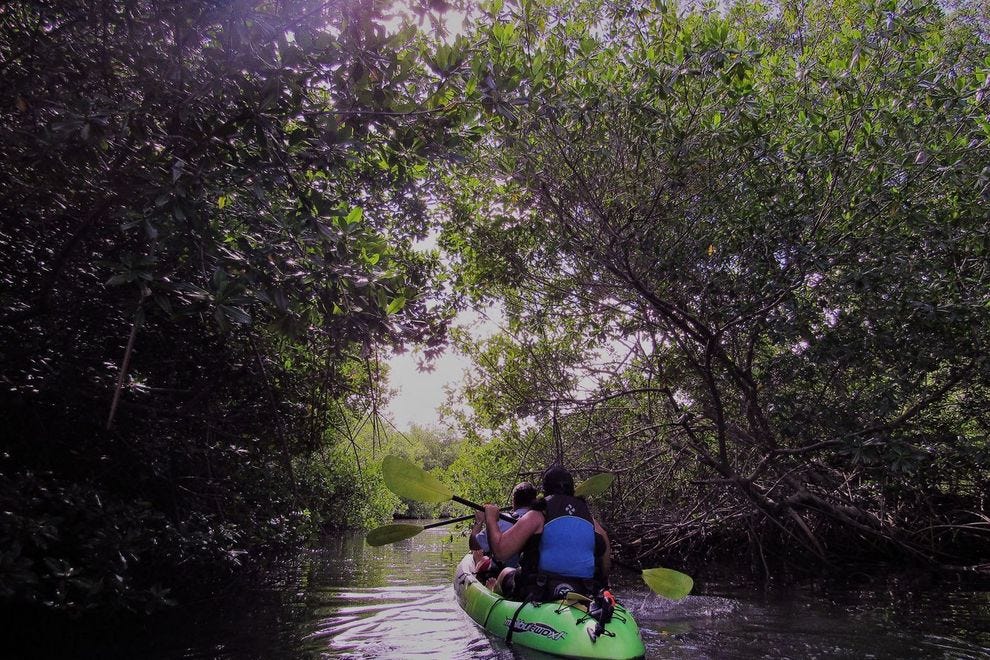 Aruba Attractions and Activities Attraction Reviews by 10Best