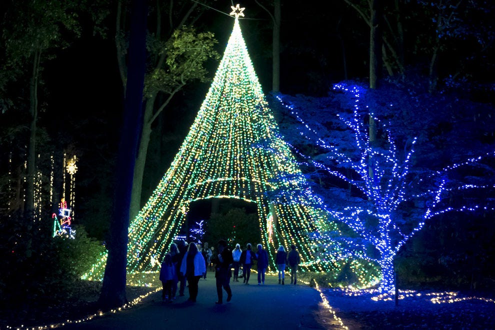 Best Botanical Garden Holiday Lights Winners 2018 10best Readers