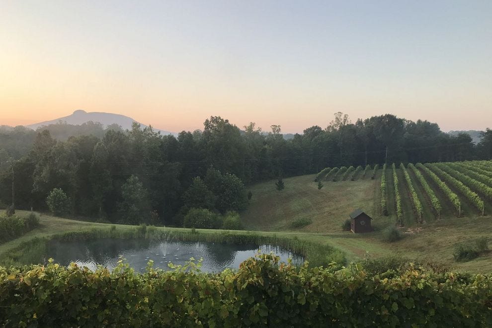 This North Carolina vineyard is reviving America’s lost grape