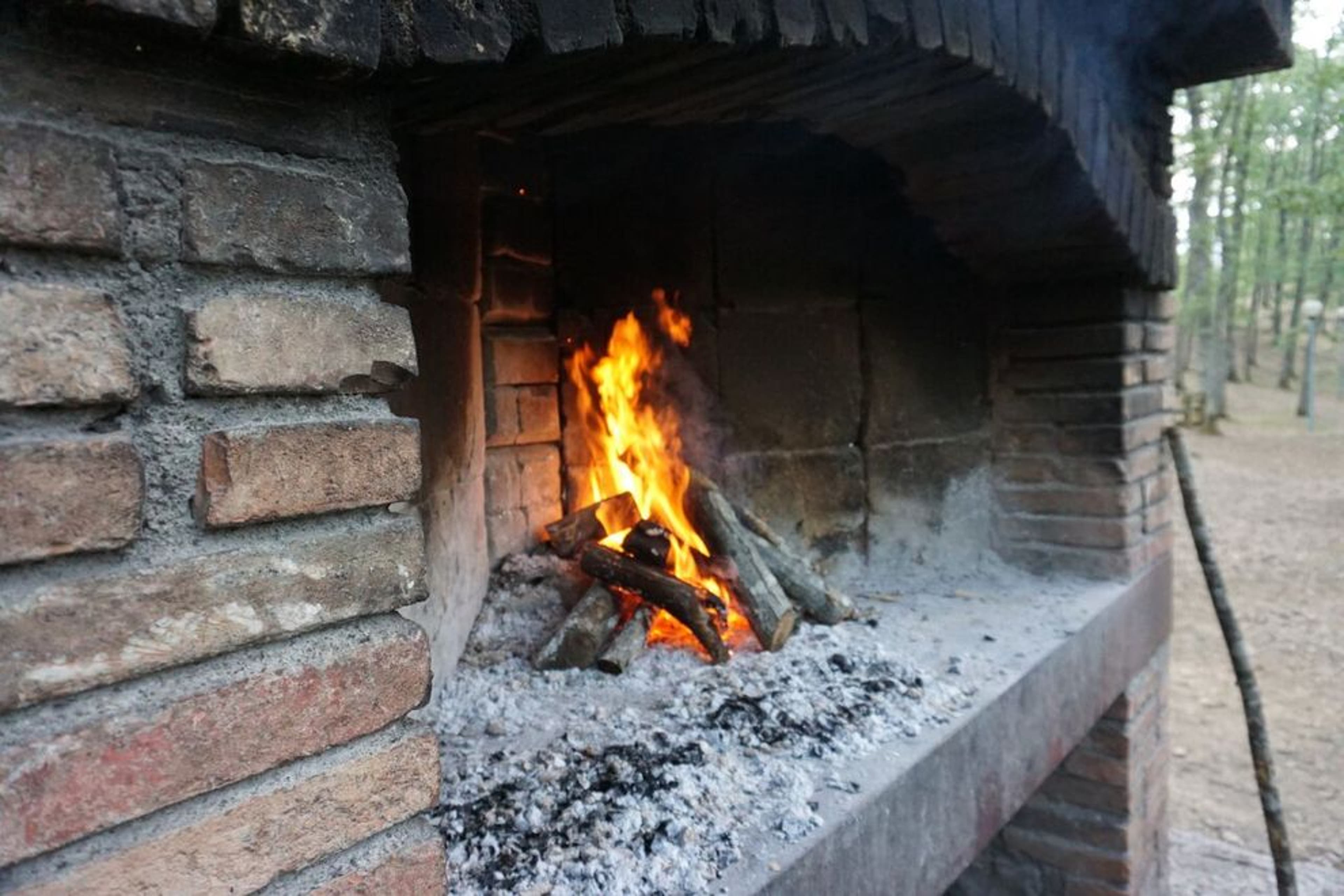 Cooking Using Wood 🔥 How to cook over a wood fire grill (or campfire or fireplace)
