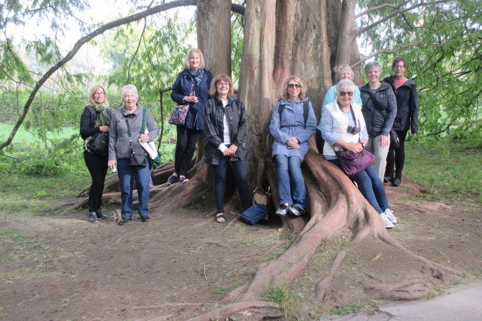 A group explores their roots in Germany on a Family Tree Tour
