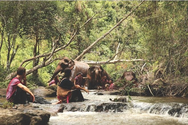The Karen Elephant Experience is very moving