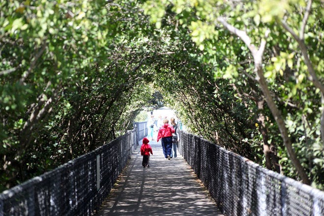 Manatee Viewing Center is one of the very best things to do in Tampa
