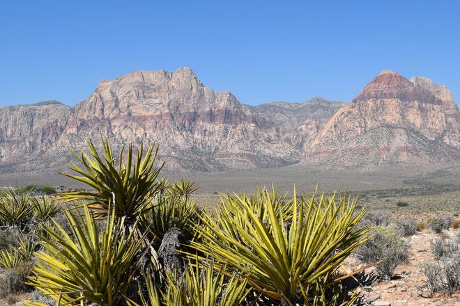Red Rock Canyon National Conservation Area Las Vegas