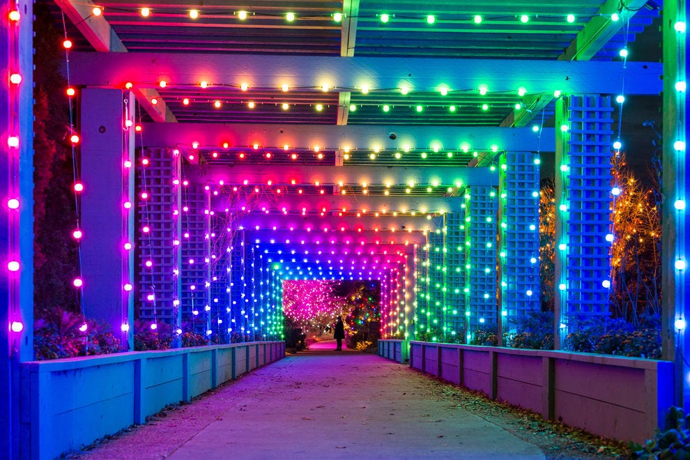 Vote Blossoms of Light Best Botanical Garden Holiday Lights Nominee