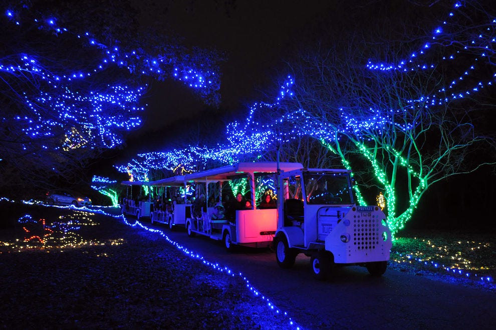 Norfolk Botanical Gardens Light Display Fasci Garden
