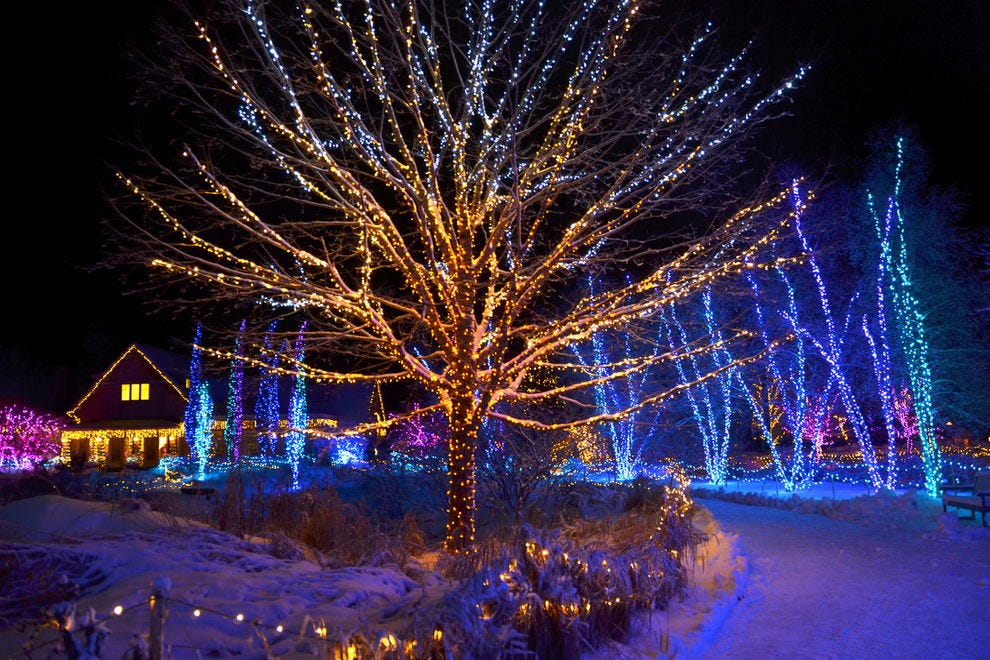 Maine Botanical Gardens Christmas Lights 2022 Best Botanical Garden Holiday Lights Winners (2019) | Usa Today 10Best