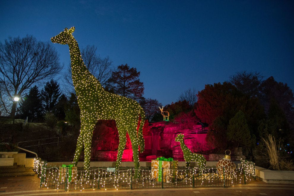 Best Zoo Lights Winners: 2019 10Best Readers&#39; Choice Travel Awards