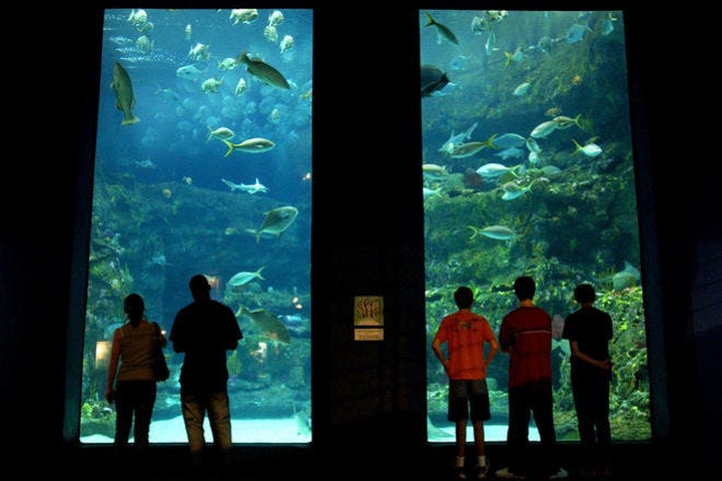 10 Best Aquariums in the U.S.