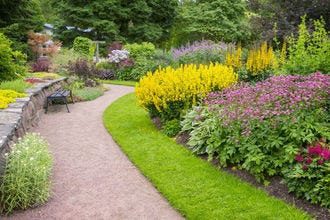 Help us choose the best attractions for summer