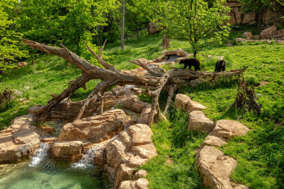 Best Zoo Winners (2021) USA TODAY 10Best