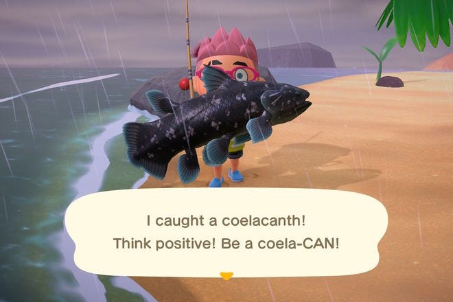 Full List Of EVERY Fish, Prices, And How To Catch Them In