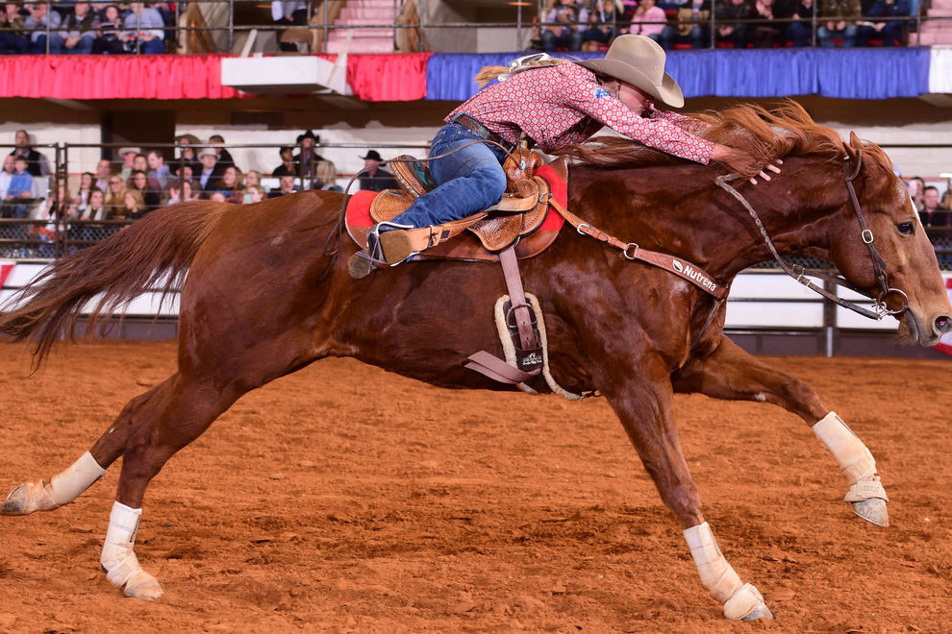 Fort Worth Stock Show & Rodeo