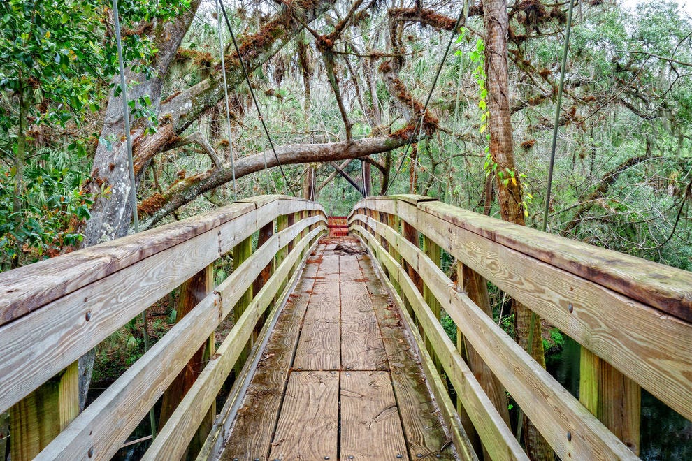 Explore the magic of Tampa Bay through these photos