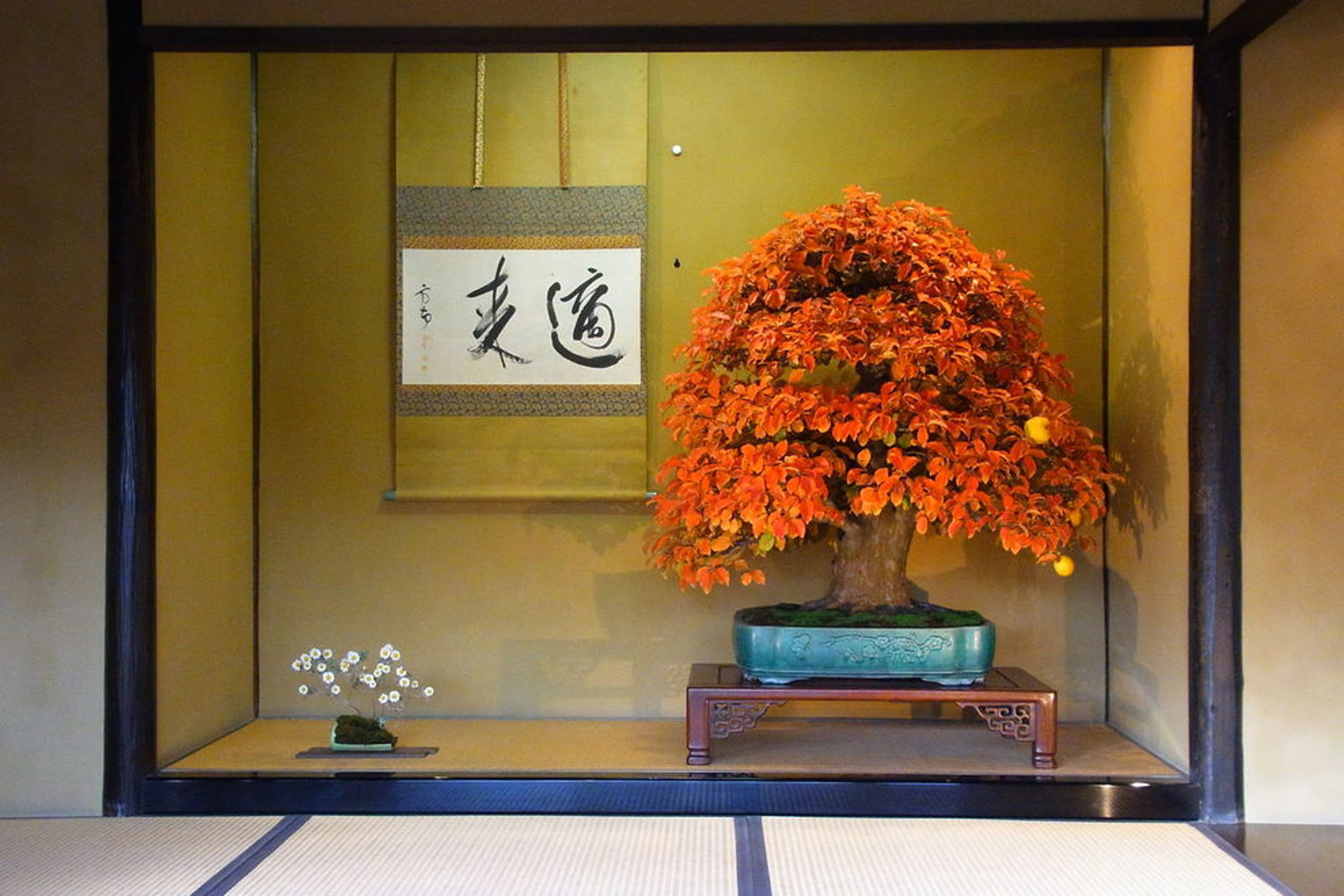 See the best of Tokyo, Japan on this photo tour