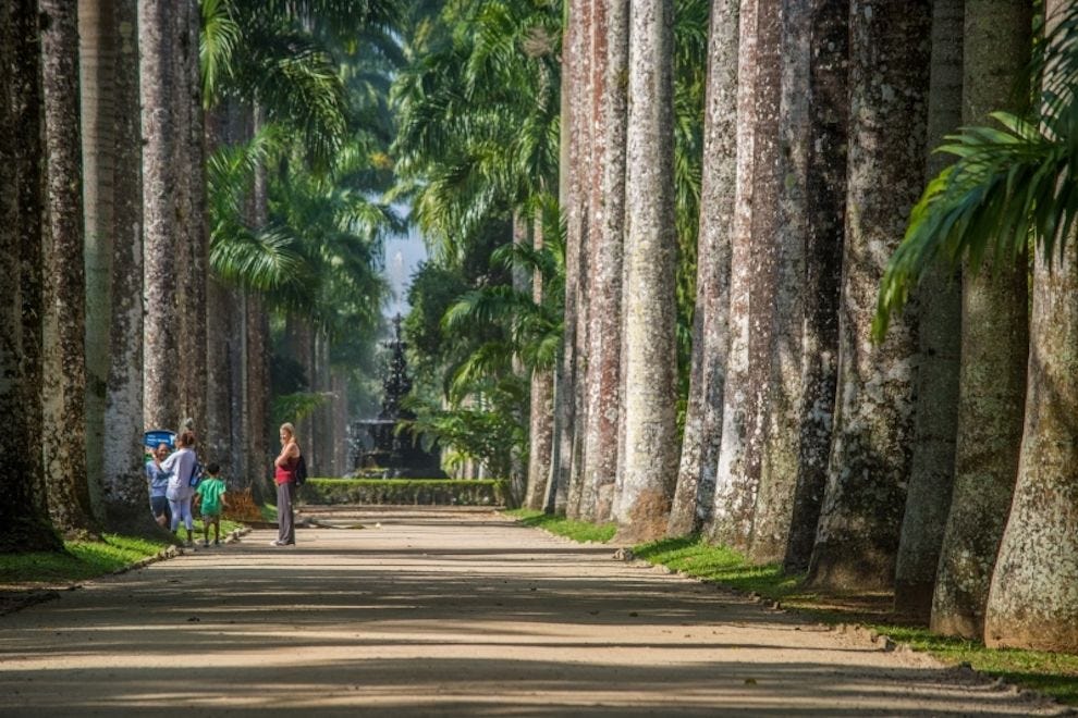 Jardim Botânico