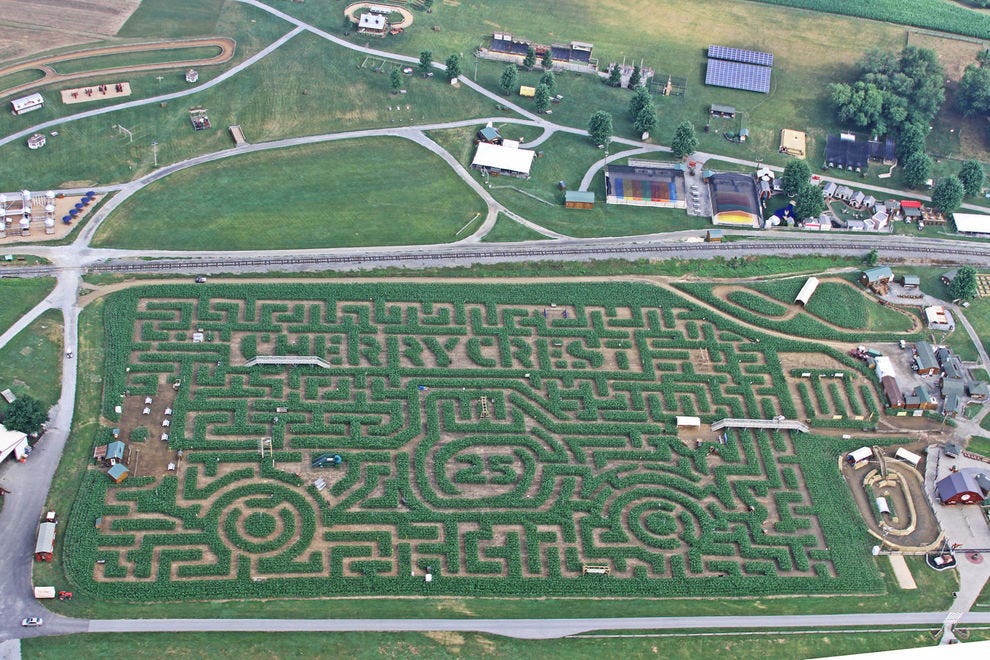 Corn maze at Cherry Crest Adventure Farm