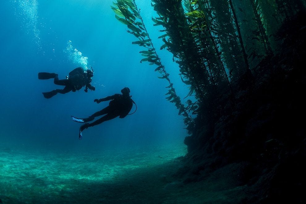 Scuba diving in national parks Where to go try