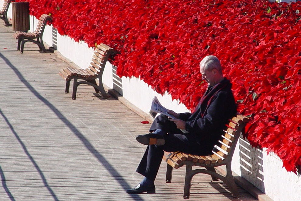 Bridge of Flowers