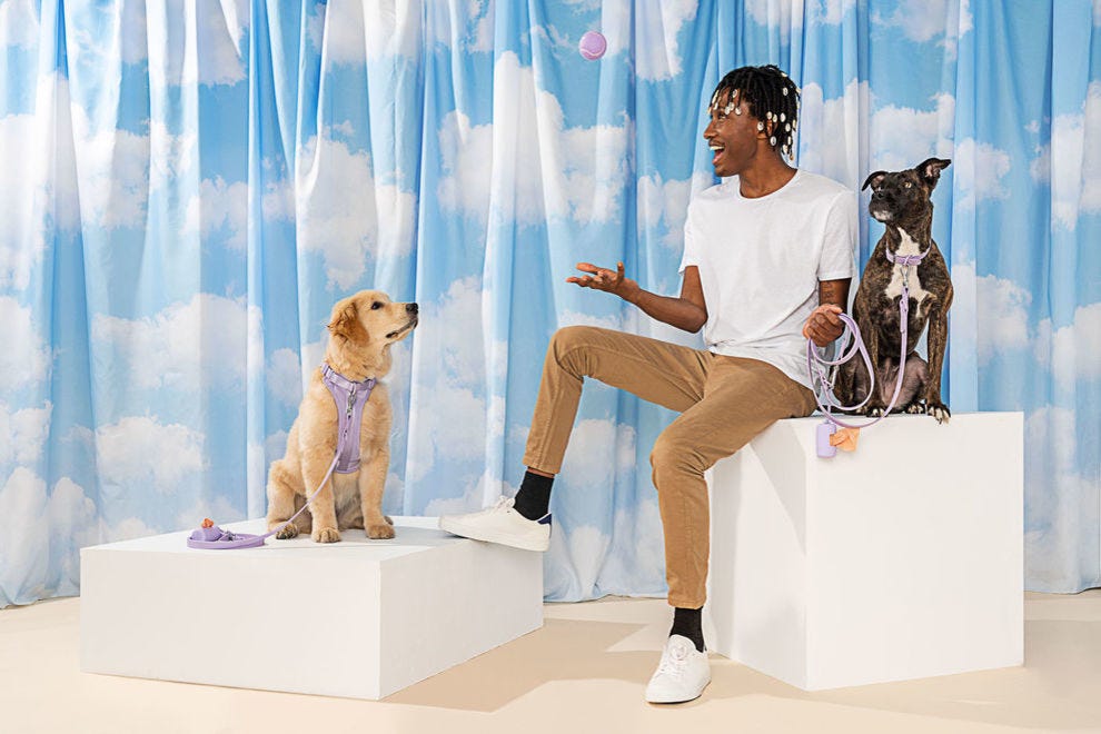 Best Online Pet Supplies Winners (2020) USA TODAY 10Best