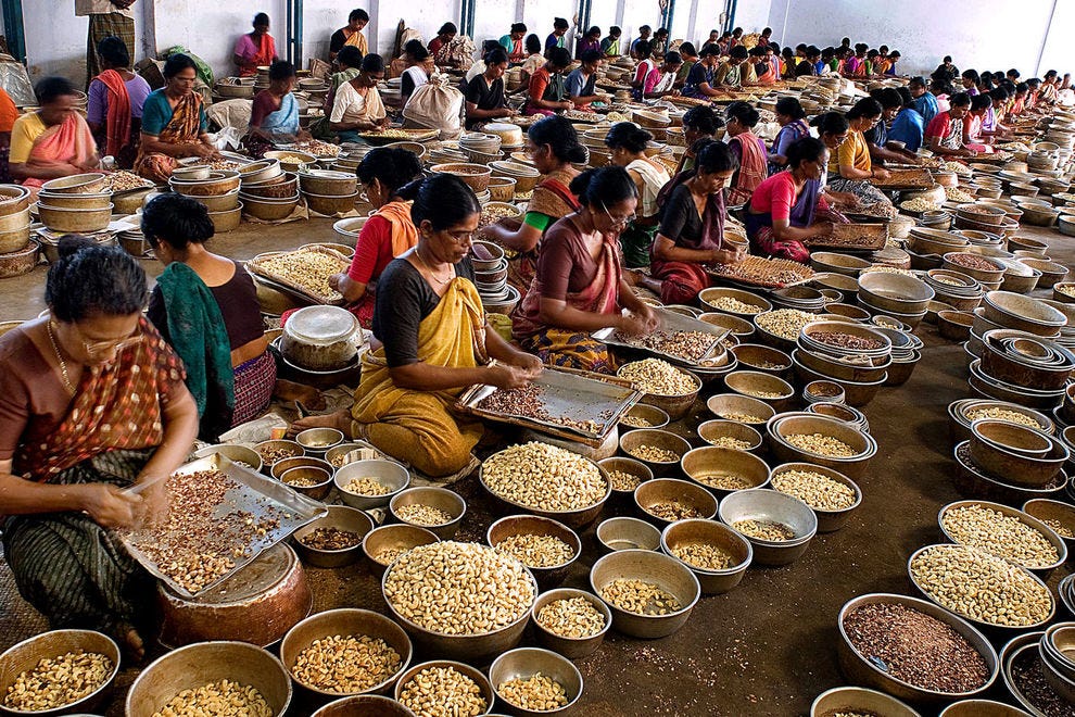 See why Kerala is the jewel of South India [virtual tour]
