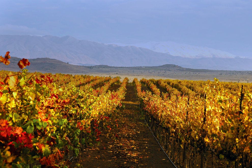 Wine country in Israel