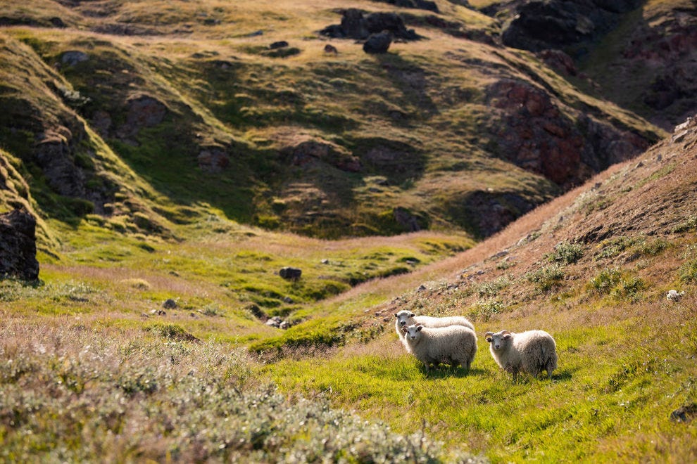 Preview the natural wonders of Greenland on this virtual tour