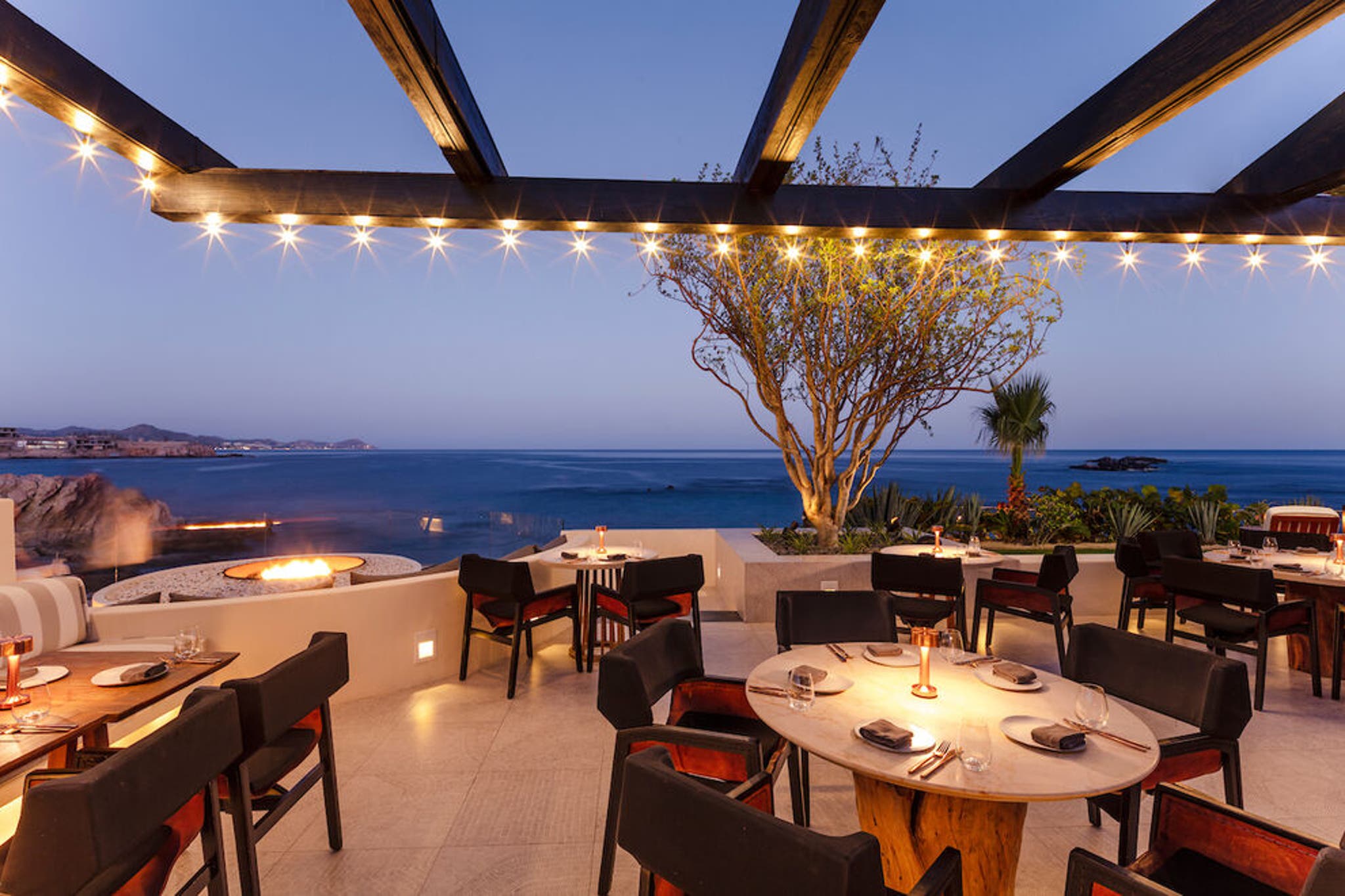 Best Restaurants In Cabo San Lucas 2027