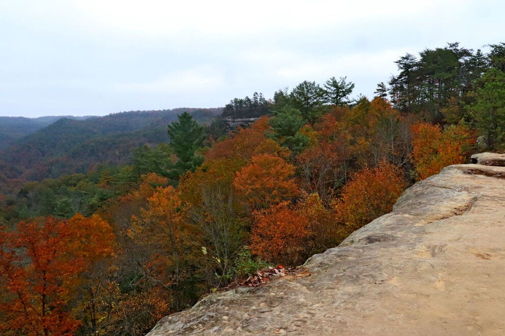 Vote Red River Gorge Best Destination For Fall Foliage Nominee 