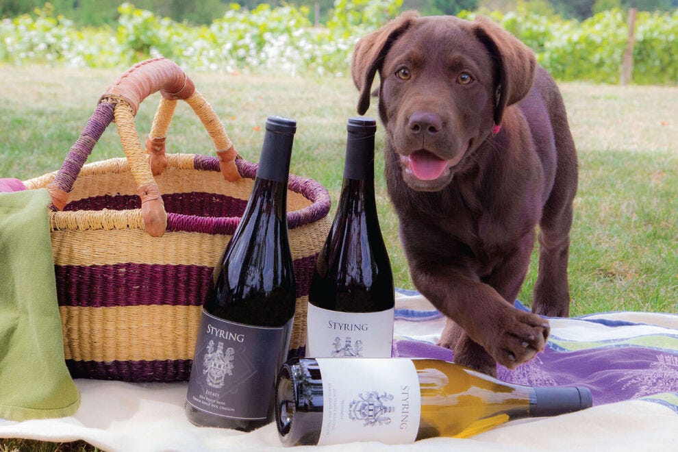 Life's a party for dogs at Styring Vineyards