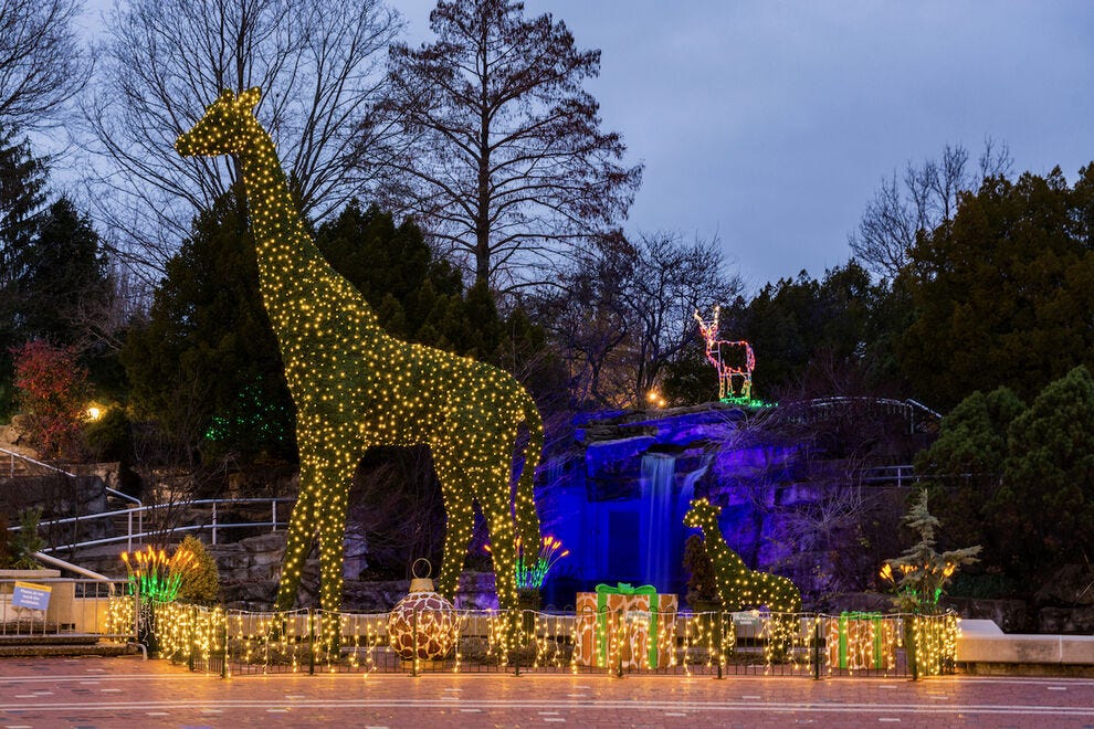 Best Zoo Lights Winners (2021) USA TODAY 10Best