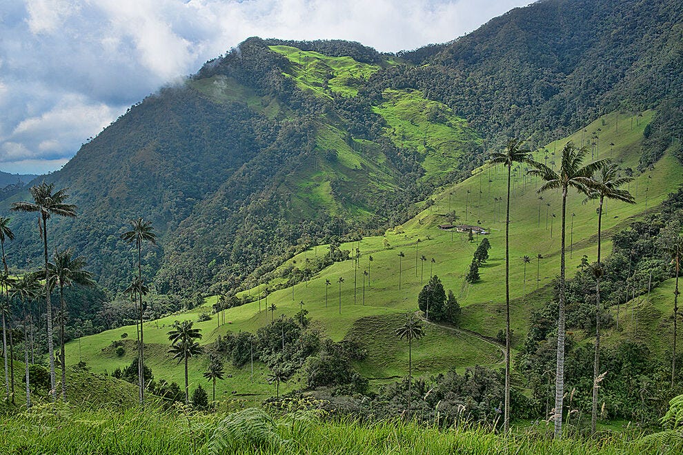 El verde Valle de Cocora