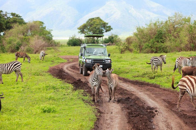 Learn about animals â and even interact with them â at safari parks