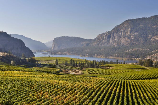 Top Wine Country Regions in the West