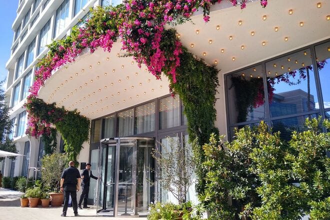 Lilac is one of the best restaurants in Tampa