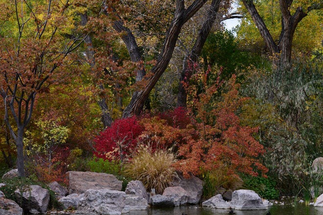 10 best botanical gardens across the nation for 2024