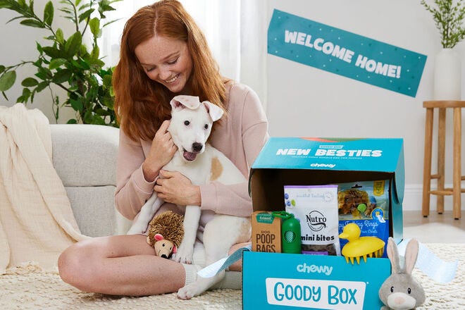 The Best Pet Subscription Boxes for 2024