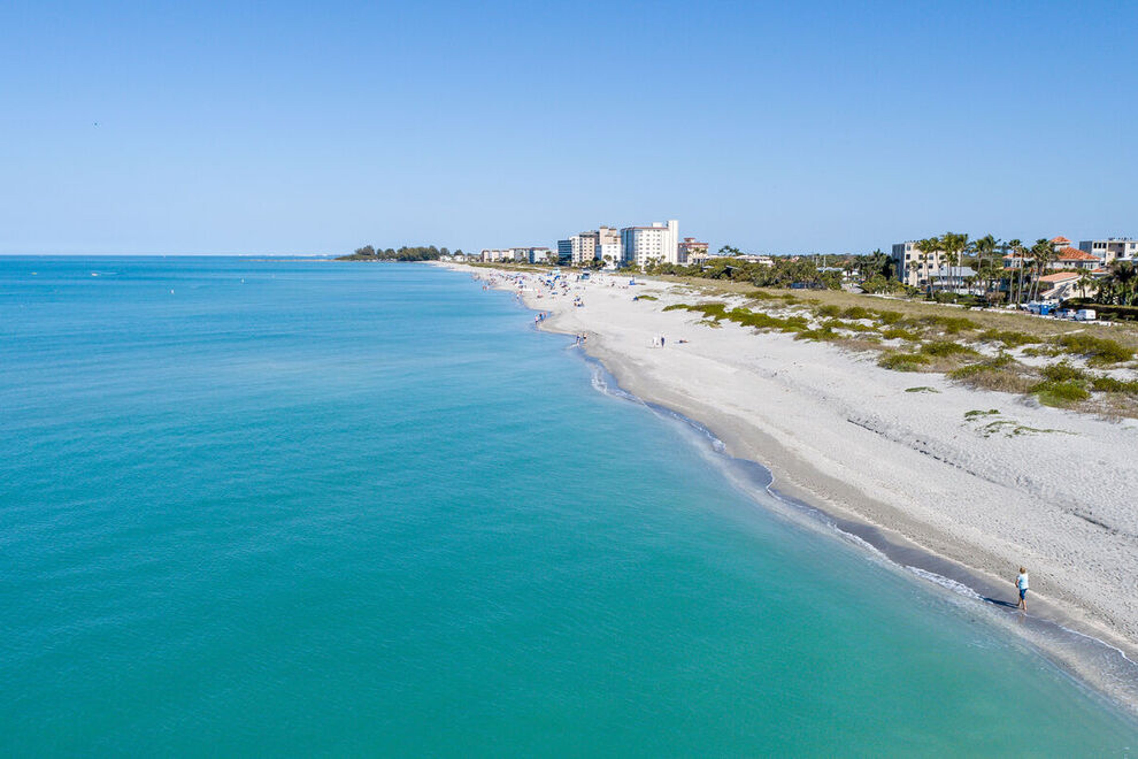Photos Venice Beach Florida Venice Florida Guide Venice Beaches Photos Venice Beach Florida Venice Florida Guide Venice Beaches