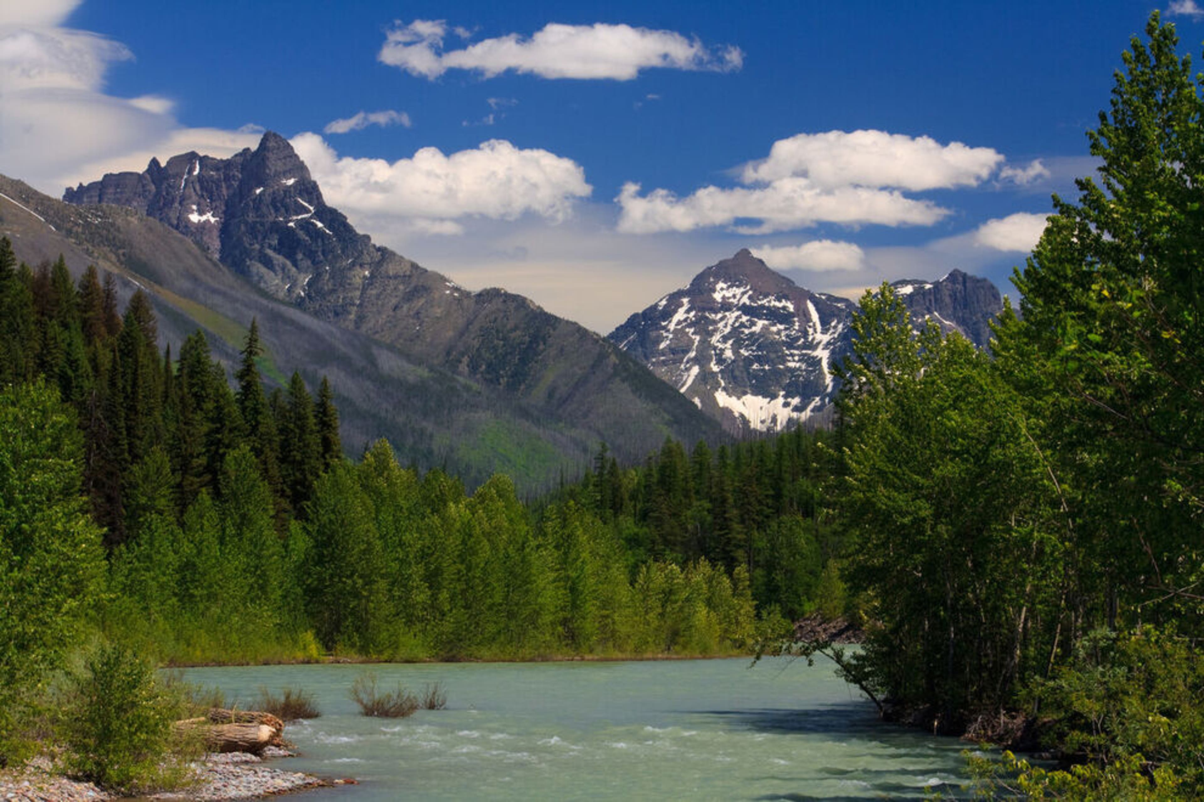 Flathead River