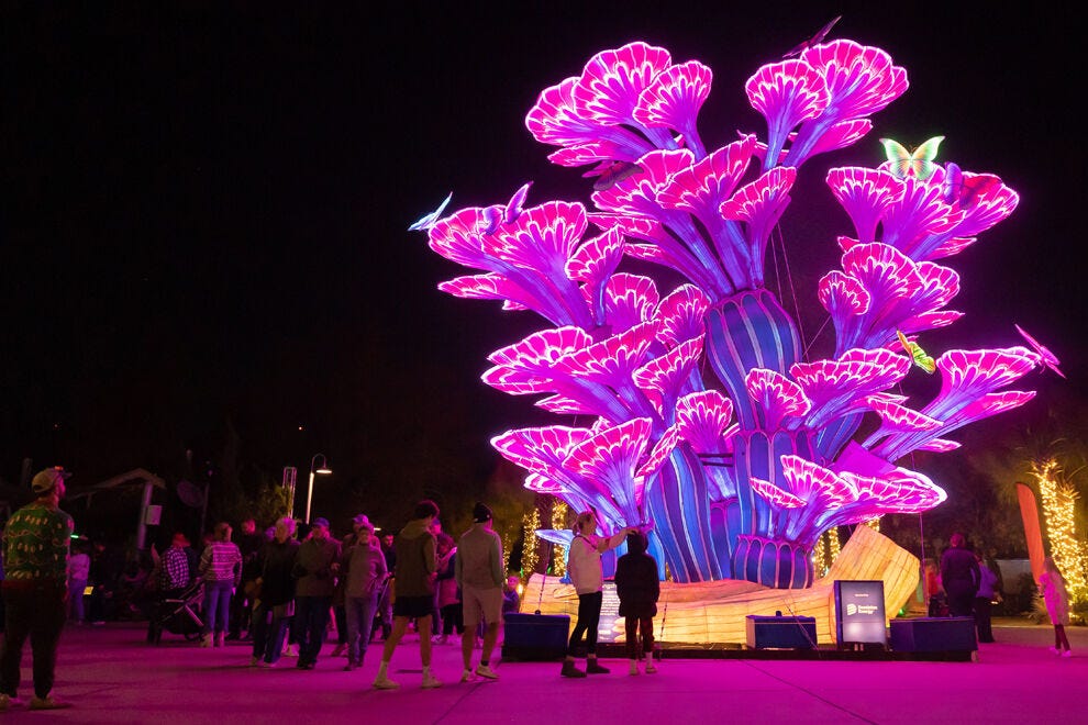 Wild lights at riverbanks zoo garden