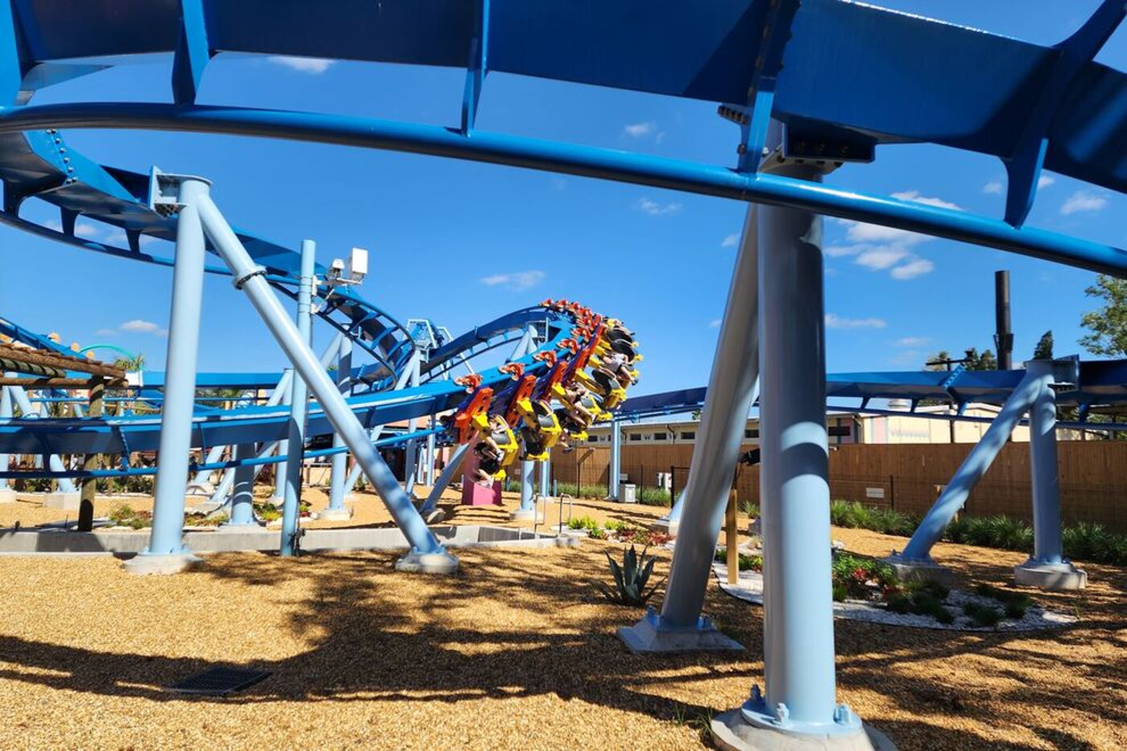 Phoenix Rising at Busch Gardens Tampa Bay