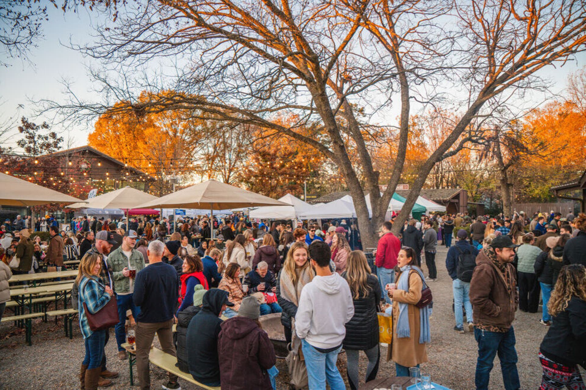10 best beer gardens in the US where you can quench your thirst