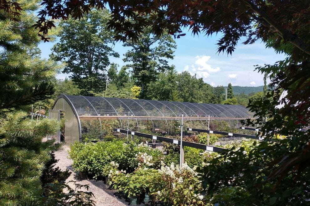 Broken Arrow Nursery