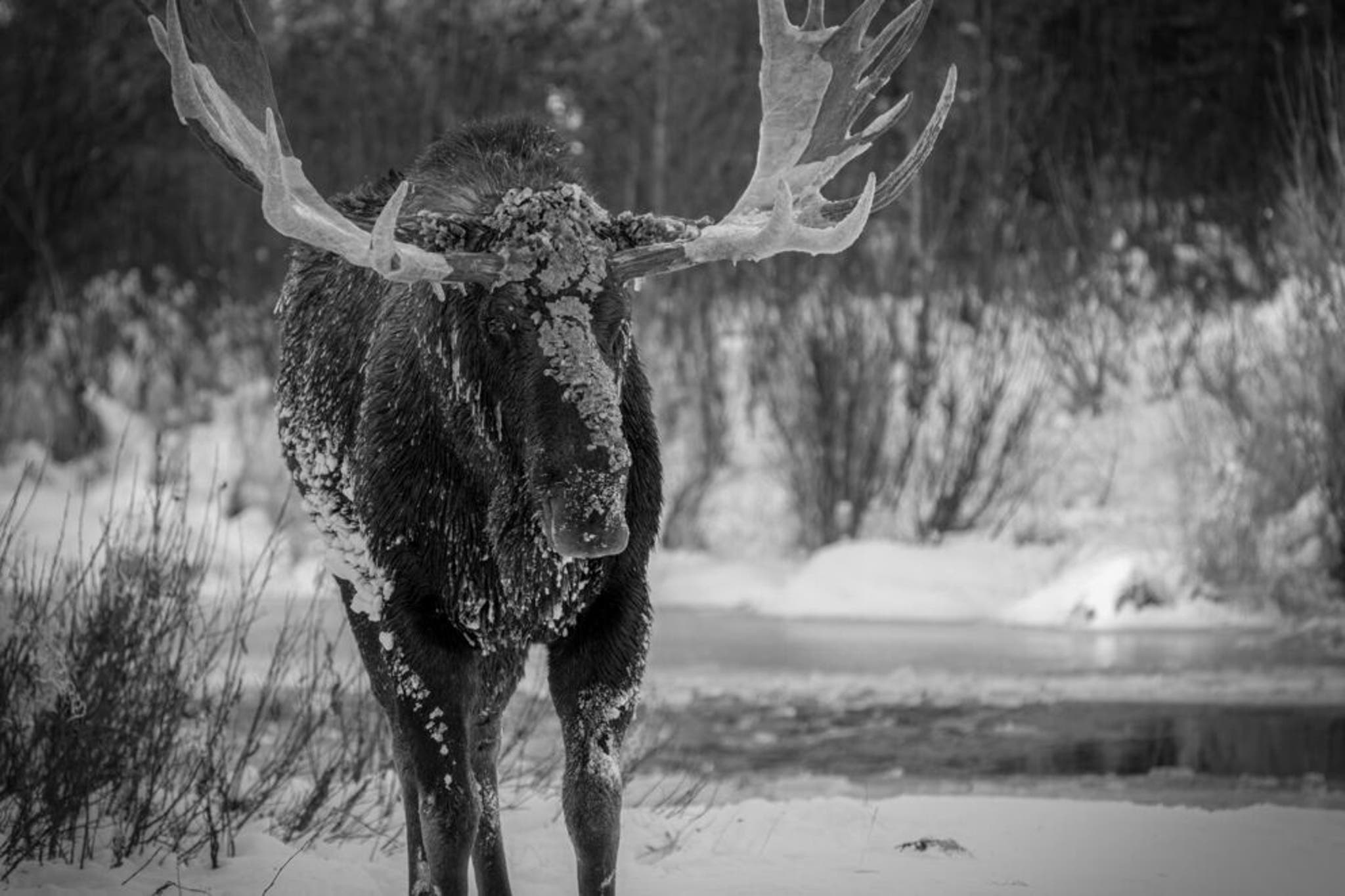 10 best national wildlife refuges across the US