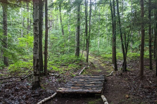 Being immersed in Maine's natural beauty has restorative powers