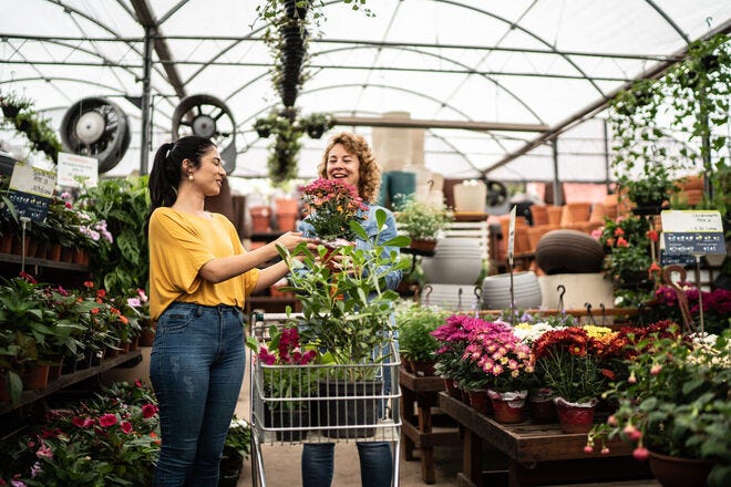 Pick up a new plant or two at these plant nurseries