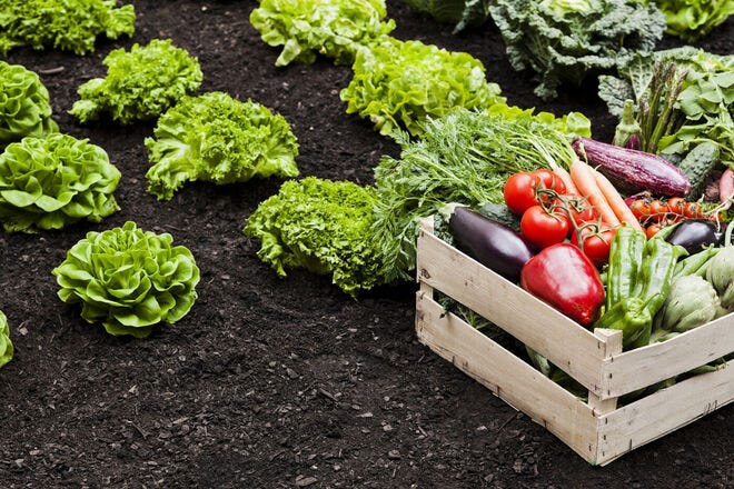 Avoiding overcrowding is an important gardening tip